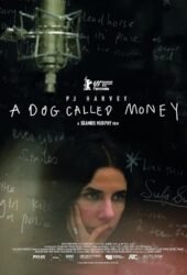 a-dog-called-money-2020.jpg