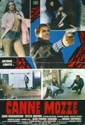 canne-mozze-1977.jpg