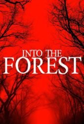 into-the-forest-2019.jpg