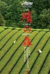 mogari-no-mori-2007.jpg