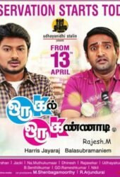 oru-kal-oru-kannadi-2012.jpg