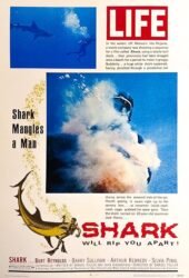 shark-1969.jpg