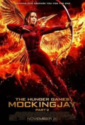 the-hunger-games-mockingjay-part-2.jpg
