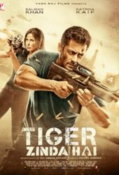 tiger-zinda-hai-2017.jpg
