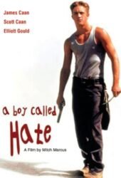a-boy-called-hate-1996.jpg