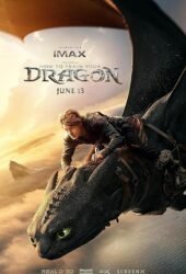 how-to-train-your-dragon-2025.jpg